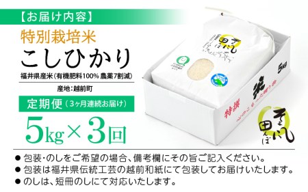 米 定期便 ≪3ヶ月連続お届け≫ 特別栽培米 コシヒカリ 5kg × 3回 福井県産米（有機肥料100% 農薬7割減）【令和6年産 新米 人気品種 こしひかり 計15キロ】 [e10-d001]