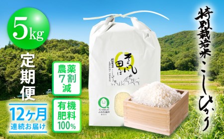米 定期便 ≪12ヶ月連続お届け≫ 特別栽培米 コシヒカリ 5kg × 12回 令