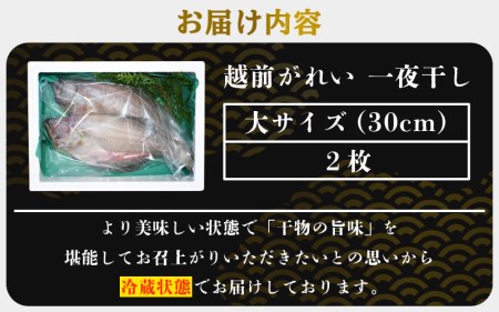 冷蔵配送！ 越前 赤かれい干物 2枚 大サイズ 「天日干し」  越前の港から直送！旨味濃縮 一夜干し【干物 ひもの 冷蔵ひもの 赤ガレイひもの かれい干物 カレイ干物 5000円ひもの 添加物不使用ひもの　食べやすい干物】 [e23-a001]