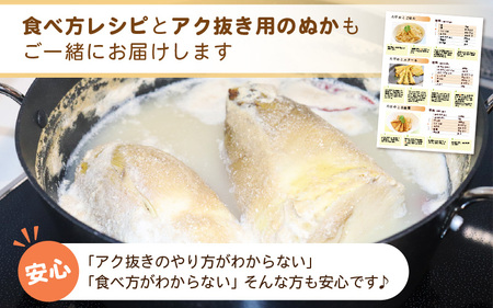 【令和8年産 先行予約】赤土 たけのこ 約2kg 越前町 宮崎地区産 [e27-a036]