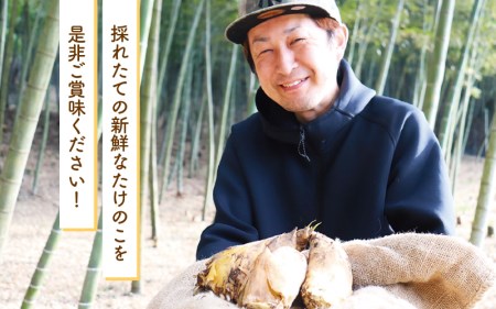 【令和8年産 先行予約】赤土 たけのこ 約2kg 越前町 宮崎地区産 [e27-a036]