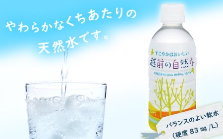  越前の自然水 ペットボトル 330ml × 24本入り 1ケース【福井県 飲料  備蓄 ナチュラルミネラルウォーター】[e20-a012]