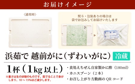 ≪浜茹で≫ 越前がに 特大 × 1杯（生で1kg以上）【1月発送分】越前がに漁師厳選！かに酢 かにスプーン2本 食べ方QRコード付き【雄 ズワイガニ ずわいがに 越前ガニ 姿 ボイル 冷蔵 福井県】希望日指定可 備考欄に希望日をご記入ください [e38-x001_01]