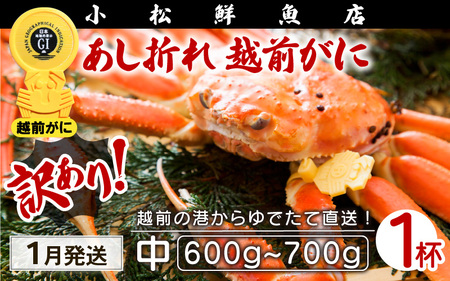 【訳あり】越前がに本場の越前町からお届け！足折れ 越前がに 浜茹で 中サイズ（生で600～700g） × 1杯【1月発送分】【かに カニ 蟹】【福井県 越前町 雄 ズワイガニ ボイル 冷蔵 越前ガニ 越前かに 越前カニ ずわいがに ずわい蟹 かに カニ 蟹】希望日指定可 備考欄に希望日をご記入ください [e23-x001_01]