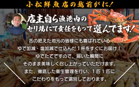 訳あり】越前がに本場の越前町からお届け！足折れ越前がに浜茹で中