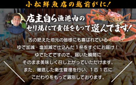 【訳あり】越前がに本場の越前町からお届け！足折れ 越前がに 浜茹で 大サイズ（生で0.9～1kg） × 1杯【1月発送分】【かに カニ 蟹】【福井県 越前町 雄 ズワイガニ ボイル 冷蔵 越前ガニ 越前かに 越前カニ ずわいがに ずわい蟹 かに カニ 蟹】希望日指定可 備考欄に希望日をご記入ください [e23-x002_01]