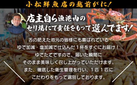 越前がに本場の越前町からお届け！ 越前がに 浜茹で 大サイズ（生で0.9～1kg） × 1杯【1月発送分】【かに カニ 蟹】【福井県 越前町 雄 ズワイガニ ボイル 冷蔵 越前ガニ 越前かに 越前カニ ずわいがに ずわい蟹 かに カニ 蟹】希望日指定可 備考欄に希望日をご記入ください [e23-x004_01]