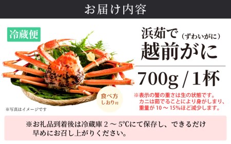 越前がに本場の越前町からお届け！ 越前がに 浜茹で 小サイズ（生で700g以上） × 1杯 【1月発送分】 食べ方しおり付き【かに カニ 蟹】【福井県 越前町 雄 ズワイガニ ボイル 冷蔵 越前ガニ 越前かに 越前カニ ずわいがに ずわい蟹 かに カニ 蟹】希望日指定可 備考欄に希望日をご記入ください [e14-x005_01]