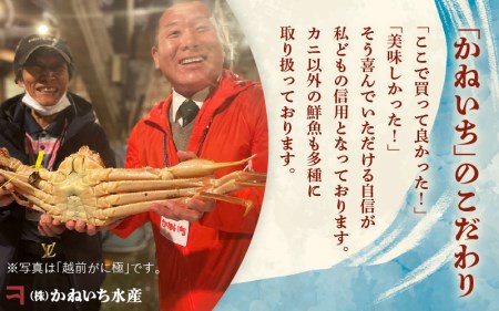 黄金ガニ（特大サイズ） × 1杯 「ズワイガニと紅ズワイガニのあいのこ」幻のカニを浜茹ででお届け！【6月発送分】【黄金がに カニ 姿 ボイル 冷蔵 福井県】希望日指定可 備考欄に希望日をご記入ください [e22-x006_06]