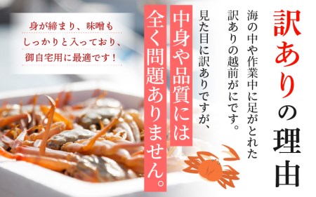 【訳あり】越前がに本場の越前町からお届け！ 越前がに 浜茹で600g～900g前後（※生重量） × 2杯 【1月発送分】 かにの食べ方しおり付き【かに カニ 蟹】【福井県 越前町 雄 ズワイガニ ボイル 冷蔵 越前ガニ 越前かに 越前カニ ずわいがに ずわい蟹 かに カニ 蟹】希望日指定可 備考欄に希望日をご記入ください [e14-x004_01]