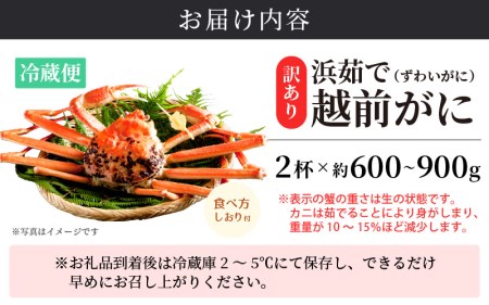 【訳あり】越前がに本場の越前町からお届け！ 越前がに 浜茹で600g～900g前後（※生重量） × 2杯 【1月発送分】 かにの食べ方しおり付き【かに カニ 蟹】【福井県 越前町 雄 ズワイガニ ボイル 冷蔵 越前ガニ 越前かに 越前カニ ずわいがに ずわい蟹 かに カニ 蟹】希望日指定可 備考欄に希望日をご記入ください [e14-x004_01]