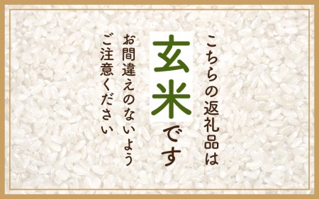 ハナエチゼン 10kg 令和5年 福井県産【玄米】【お米 はなえちぜん 華越前 10キロ】 [e30-a058]