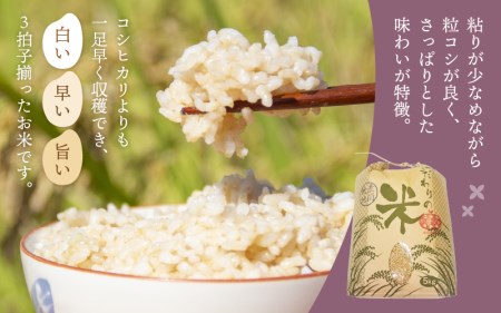 ハナエチゼン 10kg 令和5年 福井県産【玄米】【お米 はなえちぜん 華越前 10キロ】 [e30-a058]