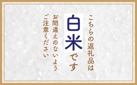 ハナエチゼン 10kg 令和6年 新米 福井県産【白米】【お米 はなえちぜん 華越前 10キロ】 [e30-a069]