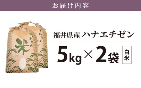 ハナエチゼン 10kg 令和6年 新米 福井県産【白米】【お米 はなえちぜん 華越前 10キロ】 [e30-a069]