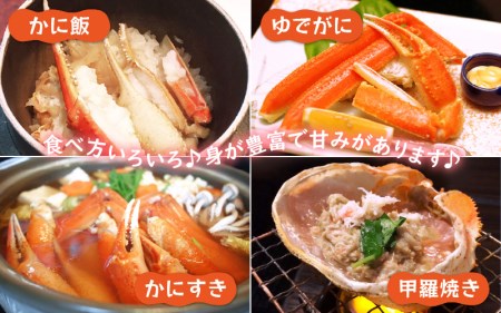 【訳あり】≪浜茹で≫指折れ 越前がに（小） × 2杯 【2月発送分】 食べ方しおり かにスプーン付き【雄 ズワイガニ ずわいがに 越前ガニ 姿 ボイル 冷蔵 福井県】【2月発送分】希望日指定可 備考欄に希望日をご記入ください [e15-x001_02]