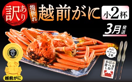 【訳あり】≪浜茹で≫指折れ 越前がに（小） × 2杯 【3月発送分】 食べ方しおり かにスプーン付き【雄 ズワイガニ ずわいがに 越前ガニ 姿 ボイル 冷蔵 福井県】希望日指定可 備考欄に希望日をご記入ください [e15-x001_03]