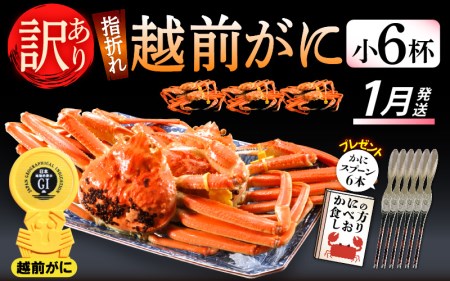 【訳あり】≪浜茹で≫指折れ 越前がに（小） × 6杯 【1月発送分】 食べ方しおり かにスプーン付き【雄 ズワイガニ ずわいがに 越前ガニ 姿 ボイル 冷蔵 福井県】希望日指定可 備考欄に希望日をご記入ください [e15-x002_01]