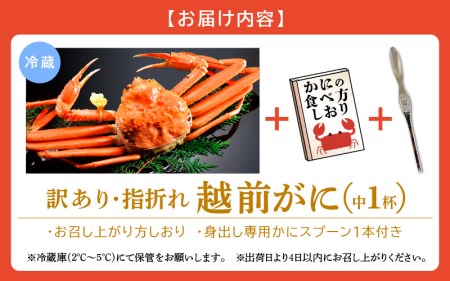 【訳あり】≪浜茹で≫指折れ 越前がに（中） × 1杯 【3月発送分】 食べ方しおり かにスプーン付き【雄 ズワイガニ ずわいがに 越前ガニ 姿 ボイル 冷蔵 福井県】希望日指定可 備考欄に希望日をご記入ください [e15-x003_03]