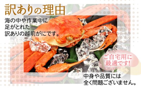 【訳あり】≪浜茹で≫指折れ 越前がに（中） × 2杯 【3月発送分】 食べ方しおり かにスプーン付き【雄 ズワイガニ ずわいがに 越前ガニ 姿 ボイル 冷蔵 福井県】希望日指定可 備考欄に希望日をご記入ください [e15-x004_03]