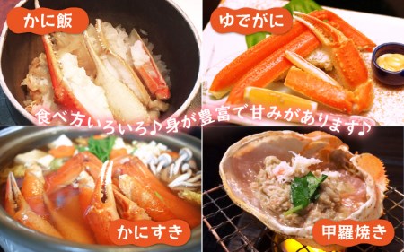 訳あり【1月発送】越前がに本場の越前町からお届け！浜茹で越前かに 大サイズ × 1杯  [e15-x005_01] カニ かに 越前がに 越前ズワイガニ 越前かに 越前カニ 姿 