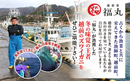 訳あり【3月発送】越前がに本場の越前町からお届け！浜茹で越前かに 大サイズ × 1杯  [e15-x005_03] カニ かに 越前がに 越前ズワイガニ 越前かに 越前カニ 姿 