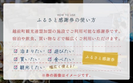 越前町ふるさと感謝券（90,000円分）【宿泊 レジャー アウトドア BBQ 体験型 宿泊券 福井県】 [e05-p001]