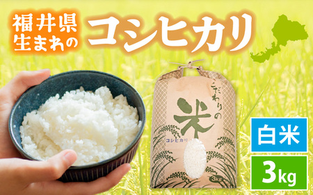 コシヒカリ 3kg 令和5年 福井県産【白米】【お米 こしひかり 3キロ 人気品種】 [e30-a049]