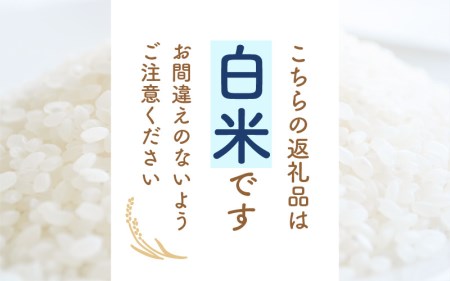 コシヒカリ 3kg 令和5年 福井県産【白米】【お米 こしひかり 3キロ 人気品種】 [e30-a049]