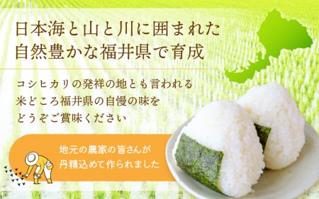 コシヒカリ 3kg 令和5年 福井県産【白米】【お米 こしひかり 3キロ 人気品種】 [e30-a049]