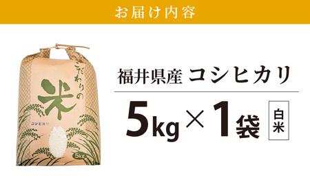 【新米】 令和7年産 コシヒカリ 5kg 福井県産【白米】【 人気品種】 [e30-a097]