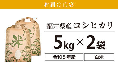コシヒカリ 10kg 令和5年 福井県産【白米】【お米 こしひかり 10キロ
