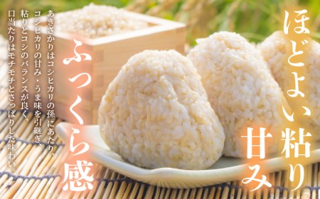 令和7年産 あきさかり 3kg 福井県産 コシヒカリ系統品種【玄米】 [e30-a090]