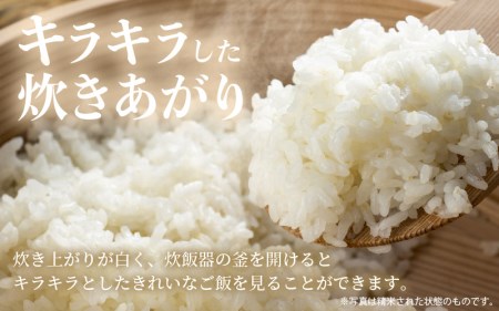 【新米】令和7年産 あきさかり 5kg 福井県産 コシヒカリ系統品種【玄米】 [e30-a092]