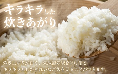 【新米】 令和7年産 あきさかり 5kg 福井県産 コシヒカリ系統品種【白米】 [e30-a093]