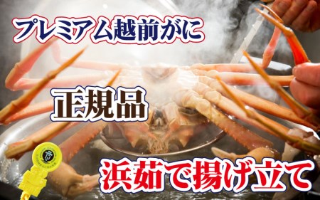 越前がに × 1杯（一番蟹）越前国の主！越前がにの象徴【3月発送分】【雄 ズワイガニ ずわいがに 姿 生 ボイル 冷蔵 福井県】【浜茹でお届け】希望日指定可 備考欄に希望日をご記入ください [e37-x006_03b]