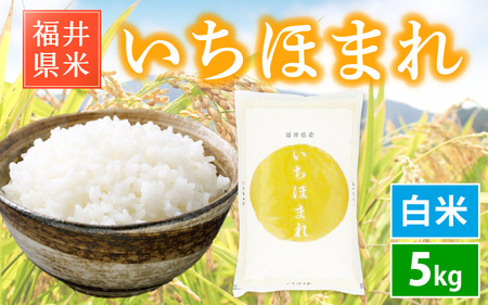 特A通算6回獲得！お米 いちほまれ米 5kg 令和5年 福井県産【白米】【お米 5キロ 米 精米 人気品種】 [e30-a062]