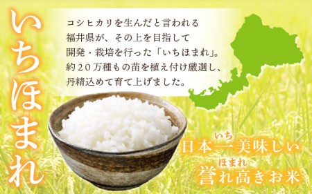 特A通算6回獲得！お米 いちほまれ米 5kg 令和5年 福井県産【白米】【お米 5キロ 米 精米 人気品種】 [e30-a062]