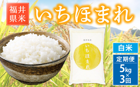 定期便≪3ヶ月連続お届け≫いちほまれ 5kg × 3回 令和5年 福井県産【白米】【お米 計15キロ】 [e30-b007]