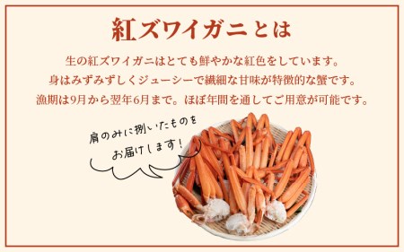 【訳あり】≪浜茹で≫越前産 紅ずわいがに 肩 約 1kg【紅ズワイガニ ボイル 蟹 かに 福井県】【12月発送】 [e22-x010_12]