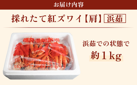 【訳あり】≪浜茹で≫越前産 紅ずわいがに 肩 約 1kg【紅ズワイガニ ボイル 蟹 かに 福井県】【12月発送】 [e22-x010_12]