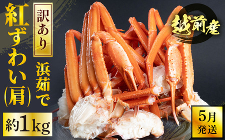 【訳あり】≪浜茹で≫越前産 紅ずわいがに 肩 約 1kg【5月発送】 [e22-x010_05]