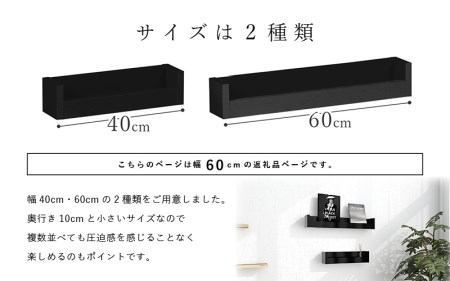 ウォールラック SPS WallRack 幅60cm アイカメラミン 日本製 完成品 【カラー：black（ブラック）】 [e55-a007_02]