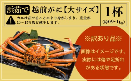 【訳あり】越前がに本場の越前町からお届け！越前がに 浜茹で 大サイズ（生で約0.9～1kg） × 1杯【1月発送分】約2人前 食べ応えあり！【かに カニ 蟹】【福井県 越前町 雄 ズワイガニ ボイル 冷蔵 越前ガニ 越前かに 越前カニ ずわいがに ずわい蟹 かに カニ 蟹】希望日指定可 備考欄に希望日をご記入ください [e49-x001_01]