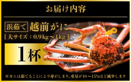 越前がに本場の越前町からお届け！ 越前がに 浜茹で 大サイズ（生で約0.9～1kg） × 1杯【1月発送分】約2人前 食べ応え十分！かにの食べ方しおり付き【かに カニ 蟹】【福井県 越前町 雄 ズワイガニ ボイル 冷蔵 越前ガニ 越前かに 越前カニ ずわいがに ずわい蟹 かに カニ 蟹】希望日指定可 備考欄に希望日をご記入ください [e57-x001_01]