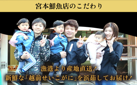 ≪浜茹で≫越前産 せいこがに（生で200g前後） × 3杯【12月発送分】【雌 ズワイガニ 越前ガニ 姿 ボイル 冷蔵 かに カニ 蟹 福井県】希望日指定可 備考欄に希望日をご記入ください [e43-x004_12]