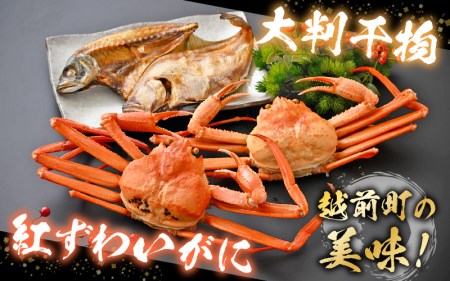 【訳あり】浜茹で 紅ずわいがに 2杯 & 大判干物「赤かれい・あじ」セット【6月発送分】【越前産 紅ズワイガニ カニ かに 蟹 姿 ボイル 冷蔵 福井県】希望日指定不可 [e14-x003_06]