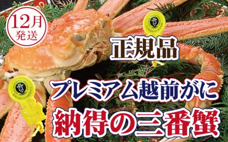 越前がに × 1杯（三番蟹）桐箱入り！納得のプレミアム越前がに【12月発送分】【雄 ズワイガニ かに カニ 蟹 姿 生 ボイル 冷蔵 福井県】【浜茹でお届け】希望日指定可 備考欄に希望日をご記入ください [e37-x008_12b]