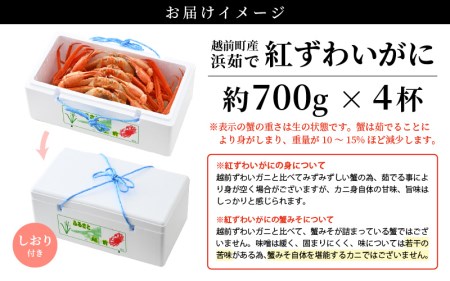 訳あり】≪浜茹で≫越前産 紅ずわいがに 約700g × 4杯 食べ方しおり付