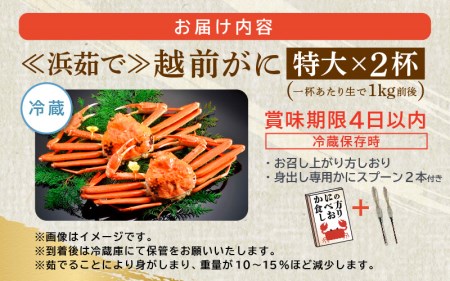 越前がに本場の越前町からお届け！ 越前がに 浜茹で 特大サイズ（生で1kg前後） × 2杯 【2月発送分】 かにの食べ方しおり かにスプーン付き【かに カニ 蟹】【福井県 越前町 雄 ズワイガニ ボイル 冷蔵 越前ガニ 越前かに 越前カニ ずわいがに ずわい蟹 かに カニ 蟹】希望日指定可 備考欄に希望日をご記入ください [e15-x013_02]